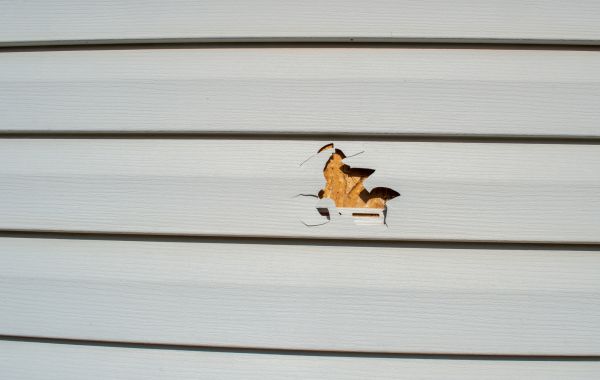 Cost of Siding Hole Patching in Pataskala